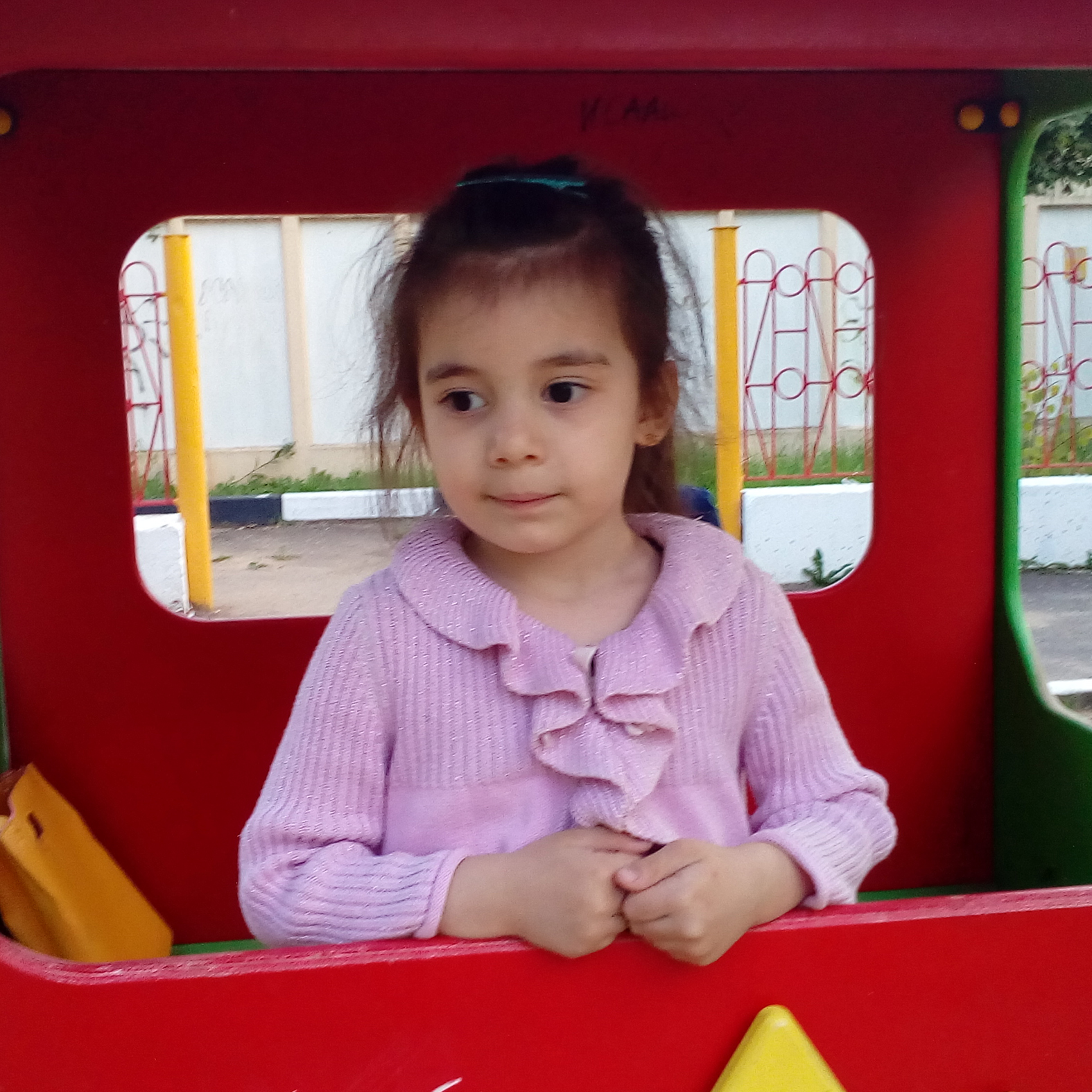 Дана Шанибова