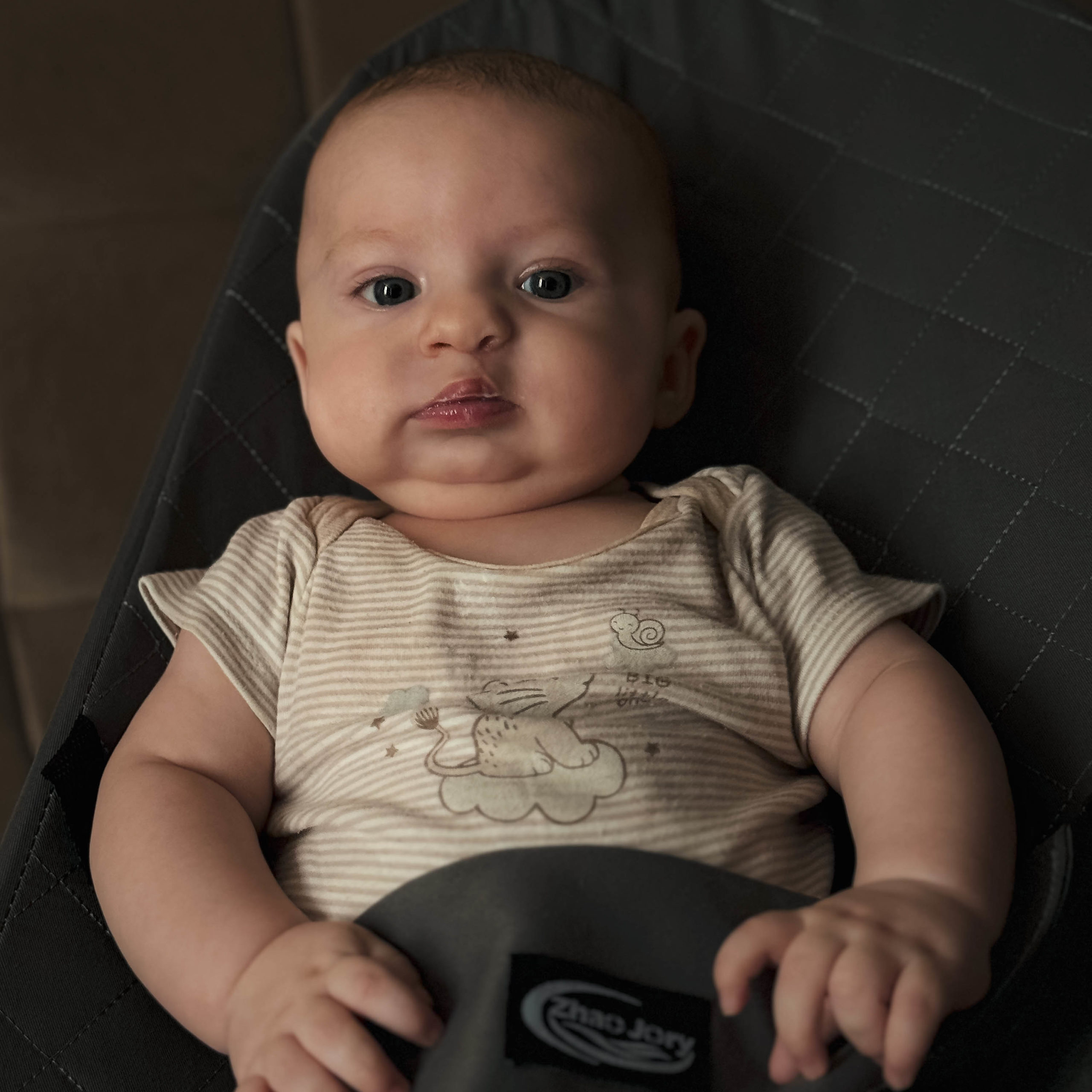 Мирон Холодов