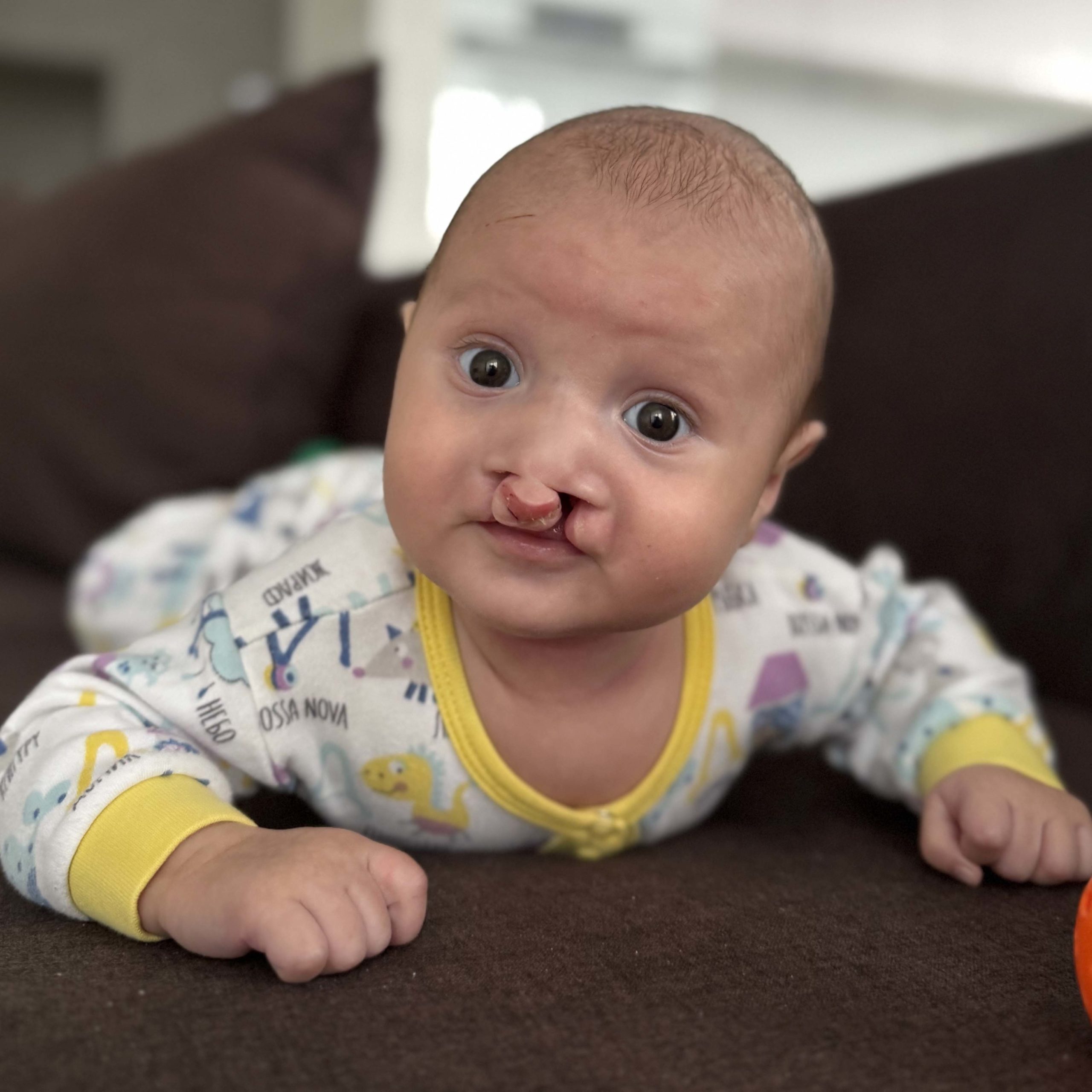 Елисей Лощинин